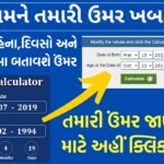 Age Calculator 2025: