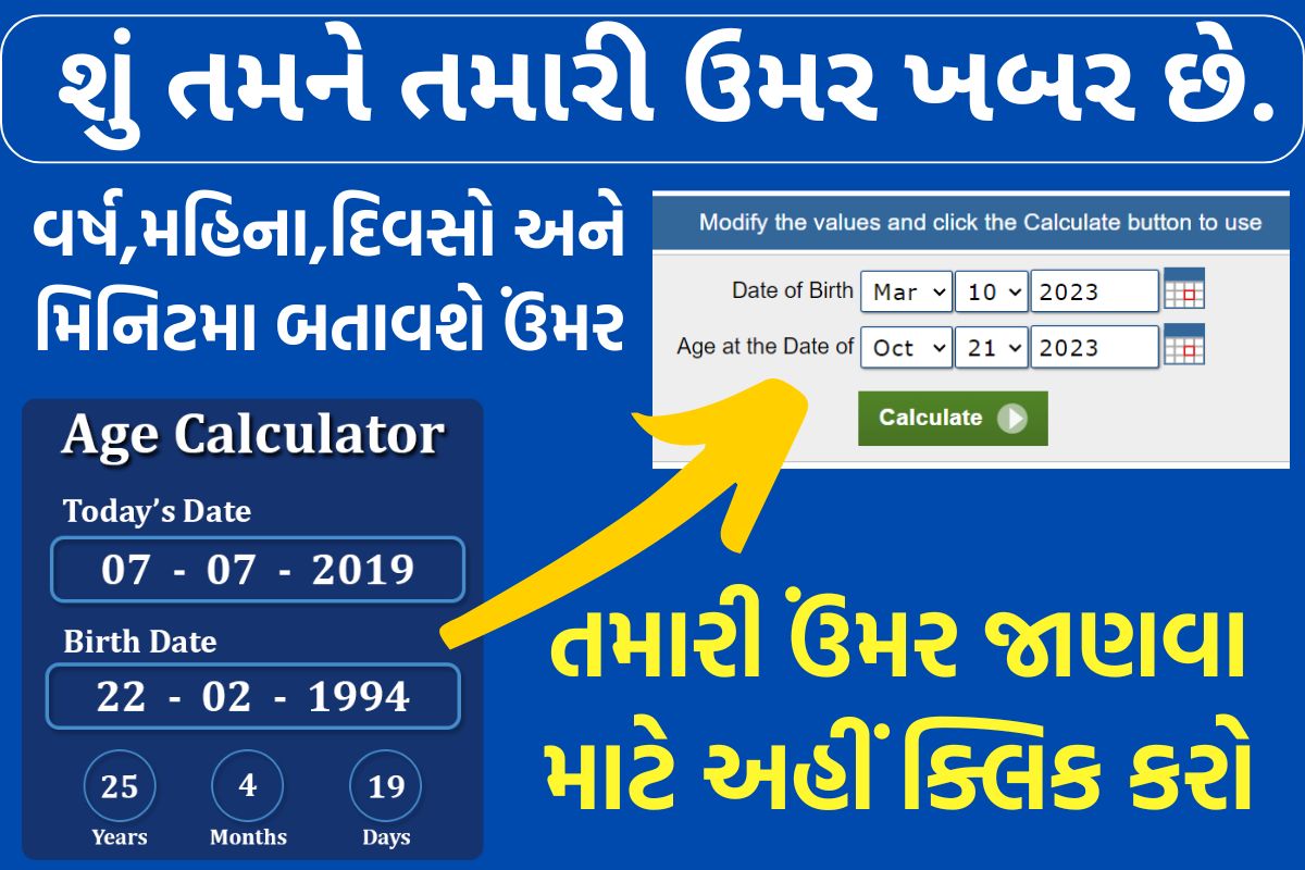 Age Calculator 2025: