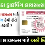 How To Make A Driving License Online 