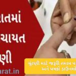 Complete Guide for Election Staff Assigned to Gram Panchayat Elections 2025