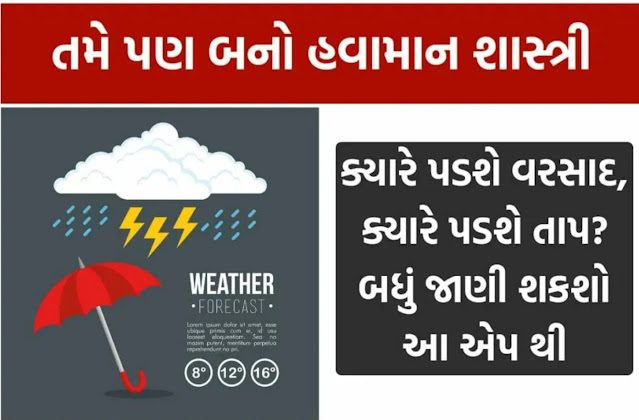 Windy.com App Review 2025: